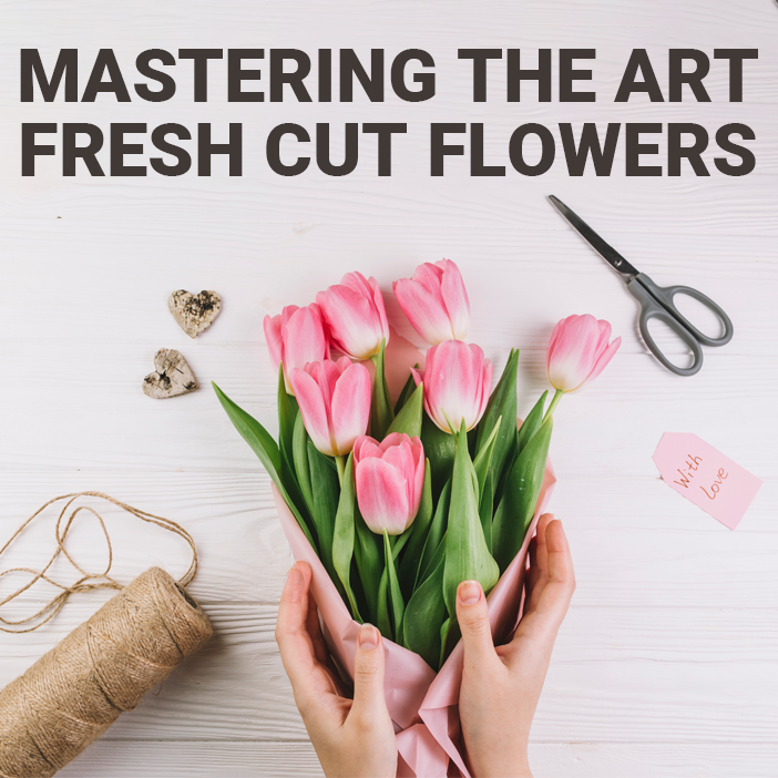Mastering the Art of Fresh Cut Flowers: A Guide to Stem Trimming